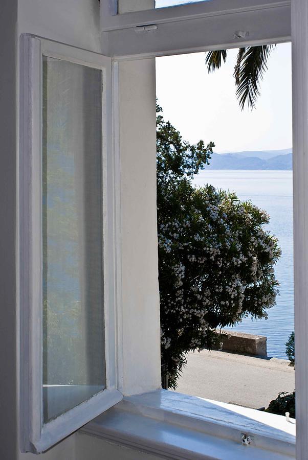 Apartment Dunja Djenovici Herceg Novi Ngoại thất bức ảnh